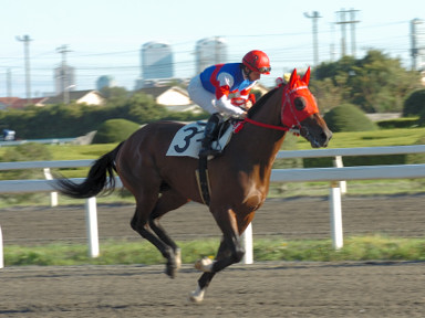 2006/10/25 D΄08R