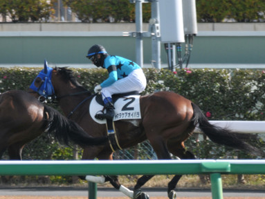 2024/12/08 中山04R