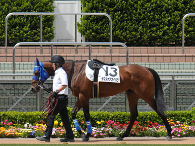 2025/04/12 中山04R