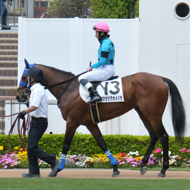 2025/04/12 中山04R