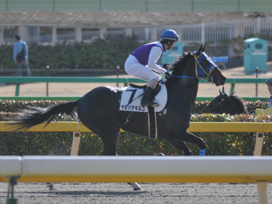 2016/02/14 東京08R