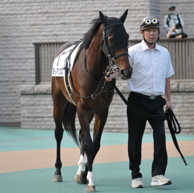 2023/10/07 東京12R
