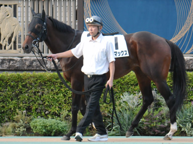 2023/10/07 東京12R