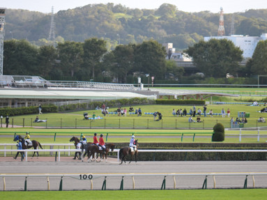 2023/10/07 東京12R