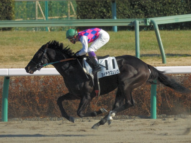 2010/01/23 中山08R