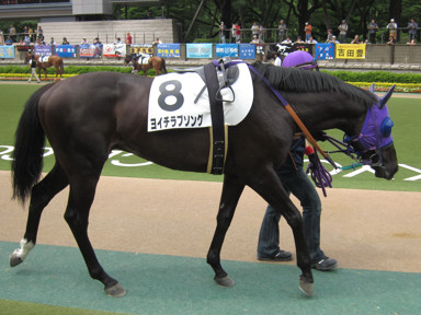 2010/05/22 東京08R