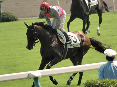 2008/07/26 新潟09R