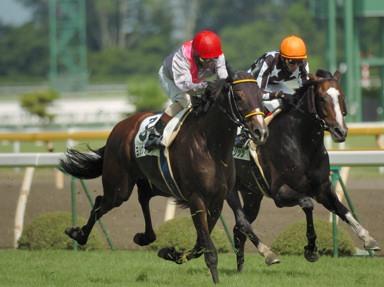 2008/07/26 新潟09R