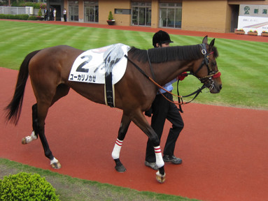 2015/05/09 �V��07R