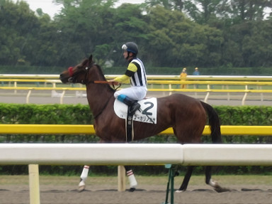 2015/05/09 �V��07R