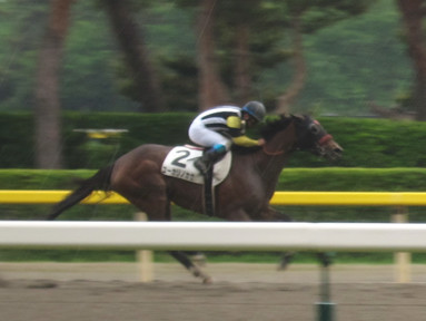 2015/05/09 �V��07R