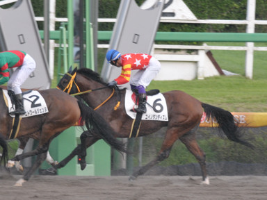 2022/09/19 中山12R