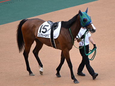 2025/06/14 東京12R