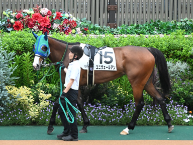 2025/06/14 東京12R