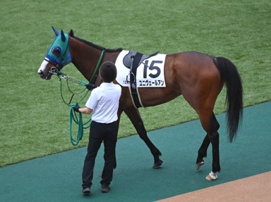2025/06/14 東京12R