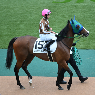 2025/06/14 東京12R
