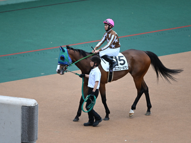 2025/06/14 東京12R