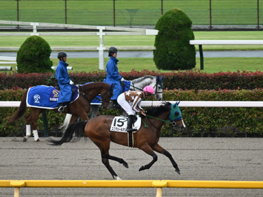2025/06/14 東京12R