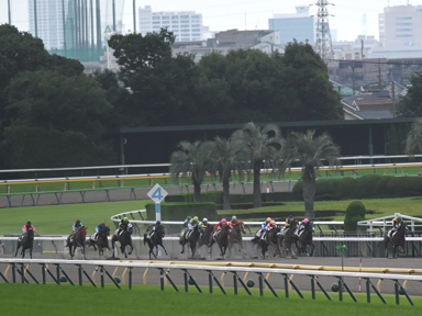 2025/06/14 東京12R