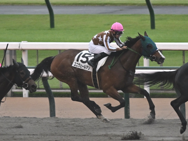 2025/06/14 東京12R