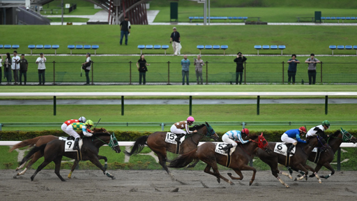 2025/06/14 東京12R