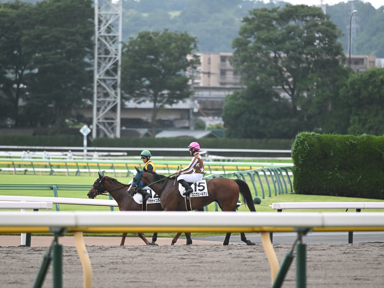 2025/06/14 東京12R