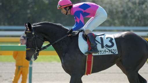 2009/02/08 東京04R