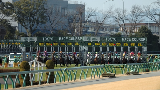 2009/02/08 東京04R