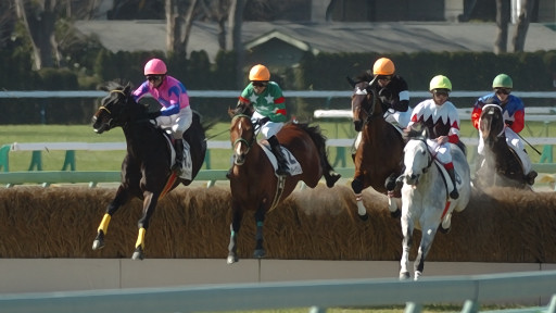 2009/02/08 東京04R