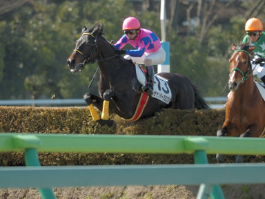 2009/02/08 東京04R