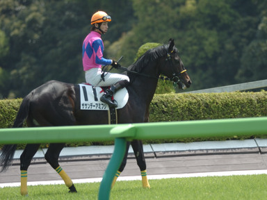 2009/05/02 東京04R