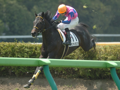 2009/05/02 東京04R