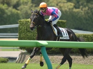 2009/05/02 東京04R