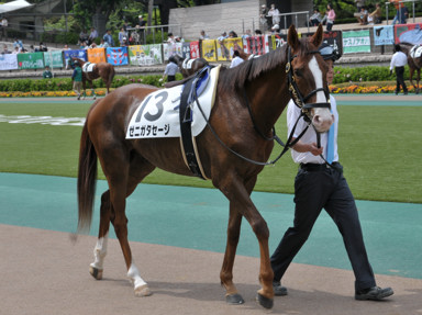 2014/05/03 東京08R