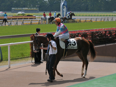 2014/05/03 東京08R