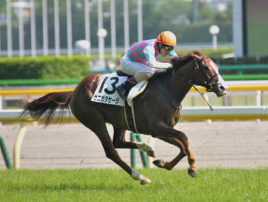 2014/05/03 東京08R